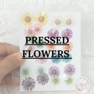 Pressed Flowers